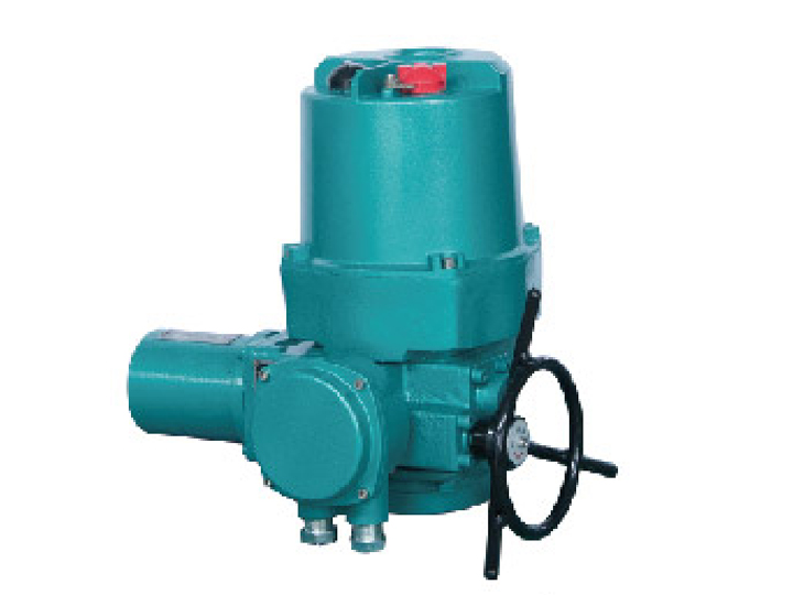 Q型整體型、調(diào)節(jié)型戶(hù)外電動(dòng)裝置